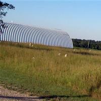 Means Cemetery on Sysoon