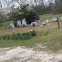 Medlin Family Cemetery on Sysoon