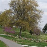 Memorial Park Cemetery on Sysoon