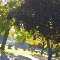 Memorial Park Cemetery on Sysoon