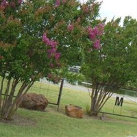 Memory Gardens on Sysoon