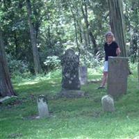 Mercer Cemetery (Spring Valley Twp) on Sysoon