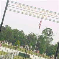 Mineral Springs Cemetery on Sysoon