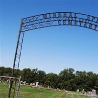 Mineral Springs Cemetery on Sysoon