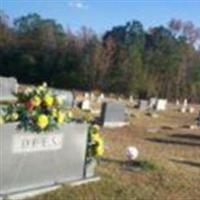 Mount Joy Missionary Baptist Church Cemetery on Sysoon