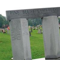 Pine Bluff Missionary Baptist Church Cemetery on Sysoon