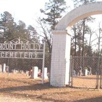 Mount Holly Cemetery on Sysoon