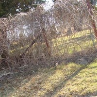 Mount Hope on Sysoon