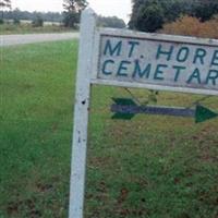 Mount Horeb Church Cemetery on Sysoon