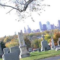 Mount Saint Marys Cemetery on Sysoon