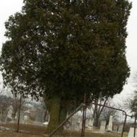 Mount Zion Cemetery on Sysoon