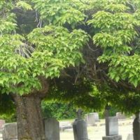 Mountain View Cemetery on Sysoon