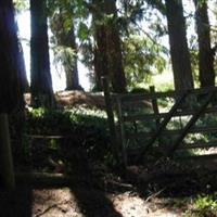 Mountain Zion Cemetery on Sysoon