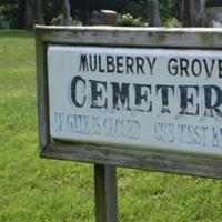 Mulberry Grove Cemetery on Sysoon