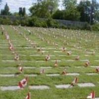 National Field of Honour Cemetery on Sysoon