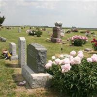 Nelson Cemetery on Sysoon