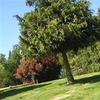 New Elm Ridge Cemetery on Sysoon