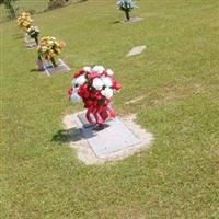 New Hope Baptist Cemetery on Sysoon