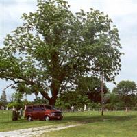 New Hope Cemetery on Sysoon