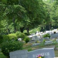New Live Oak Cemetery on Sysoon