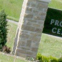New Providence Cemetery on Sysoon