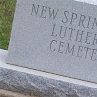 New Springfield Cemetery on Sysoon