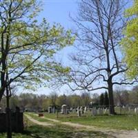 Newman Cemetery on Sysoon