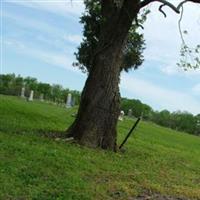 Newsom Cemetery on Sysoon