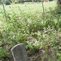 Newsom Cemetery on Sysoon