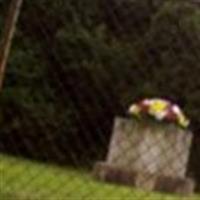 Norton Family Cemetery on Sysoon