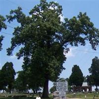 Oak Cemetery on Sysoon