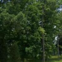 Old Arnett Family Cemetery on Sysoon