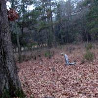 Old Baptist Cemetery on Sysoon