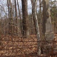 Old Bluff Springs Cemetery on Sysoon