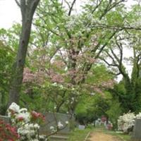 Old Chapel Hill Cemetery on Sysoon