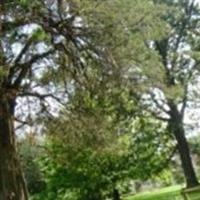 Old City Cemetery on Sysoon