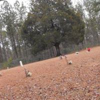 Old Elam Cemetery on Sysoon