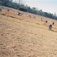 Old Flurry Cemetery on Sysoon