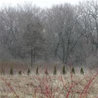 Old Huss Cemetery on Sysoon