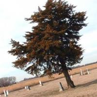 Old Langdon Cemetery on Sysoon