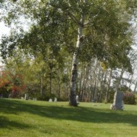 Old Rock Elm on Sysoon