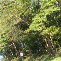 Old South Side Cemetery on Sysoon