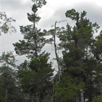 Old Sparta Cemetery on Sysoon