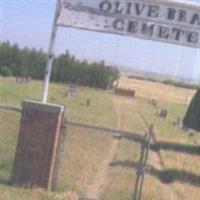 Olive Branch Cemetery on Sysoon