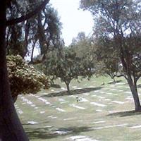 Olive Lawn Memorial Park on Sysoon