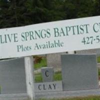 Olive Springs Baptist Cemetery on Sysoon