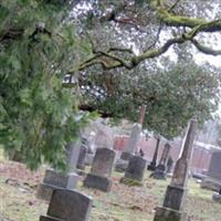 Palestine Cemetery on Sysoon