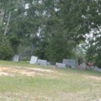 Palestine Cemetery on Sysoon