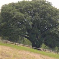 Parks Family Cemetery on Parks Ranch on Sysoon