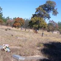 Parmer Cemetery on Sysoon